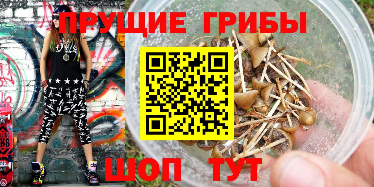 даркнет сайт  Вход с VPN  Сунжа  Псилоцибиновые грибы Magic Shrooms 