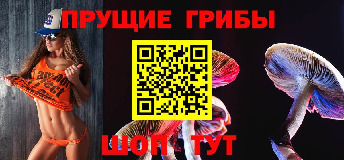 Галлюциногенные грибы Cubensis Сунжа